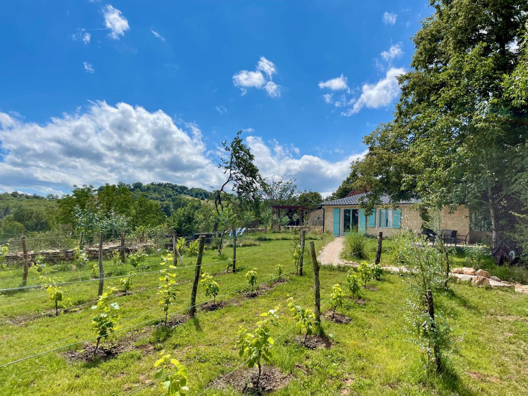 La Belle Petite Ferme Rosiers De Julliac 19350 Villa Le Bos Dış mekan fotoğraf